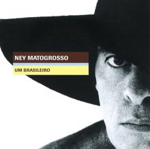 Ney Matogrosso: Um Brasileiro