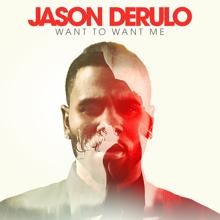 Jason Derulo: Want to Want Me (Westfunk Remix)