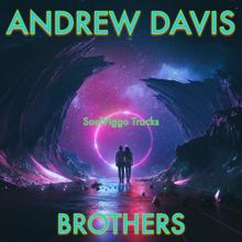 Andrew Davis: Brothers