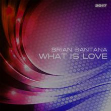 Brian Santana: What Is Love 2017
