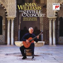 John Williams: Sonata in D Minor, K. 213, L. 108