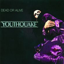 Dead Or Alive: Youthquake