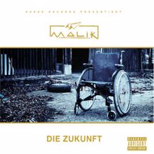 Malik: Die Zukunft