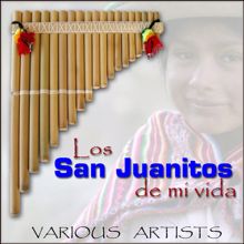 Various Artists: Los Sanjuanitos de mi Vida