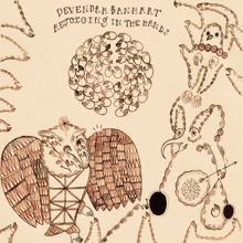 Devendra Banhart: Rejoicing in the Hands