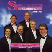 Stefan Borsch: Alpens ros