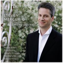 Steven Mercurio: Daydream