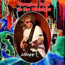 Stefan N.: Straying Dogs in the Midnight