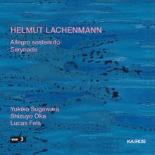 Shizuyo Oka: Lachenmann: Allegro sostenuto & Serynade