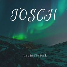 Tosch: Noise in the Dark