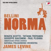 James Levine: Bellini: Norma