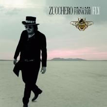 Zucchero: Fly