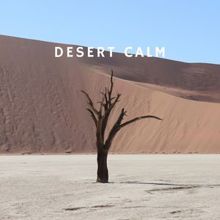 Rain Sounds: Desert Calm