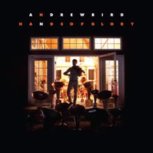 Andrew Bird: Hands of Glory