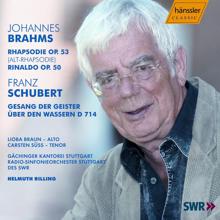 Helmuth Rilling: Brahms: Alto Rhapsody / Rinaldo / Schubert: Gesang Der Geister Uber Den Wessern