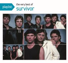 Survivor: Summer Nights (Single Version)
