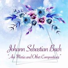 Johann Sebastian Bach: Ave Maria and Other Compositions
