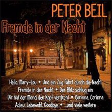 Peter Beil: Fremde in der Nacht