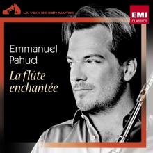 Emmanuel Pahud/Marie-Pierre Langlamet/Claudio Abbado/Berliner Philharmoniker: Concerto for Flute, Harp and Orchestra in C K299/K297c: II. Andantino