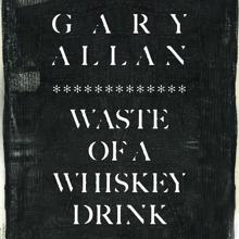 Gary Allan: Waste Of A Whiskey Drink