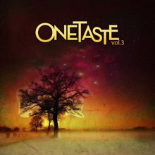 Various Artists: One Taste Collective Vol. 3
