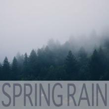 Rain Sounds: Spring Rain