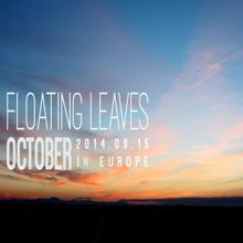 October: Floating Leaves