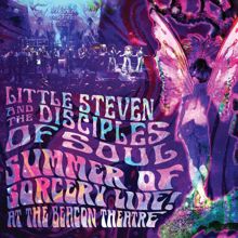 Little Steven: Summer Of Sorcery Live! At The Beacon Theatre