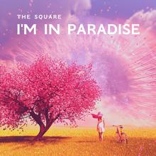 THE SQUARE: The Confusion of My Heart