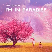 THE SQUARE: I Could Walk Through My Garden