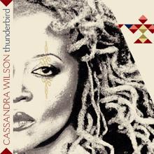 Cassandra Wilson: Thunderbird