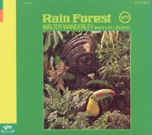 Walter Wanderley: Rain Forest