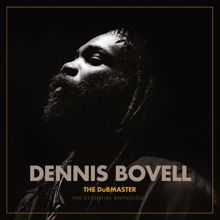 Dennis Bovell: Chief Inspector