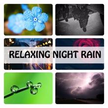 Rain Sounds: Relaxing Night Rain