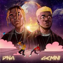 DNA: Gemini EP