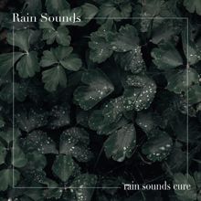 Rain Sounds: Rain Sounds Cure