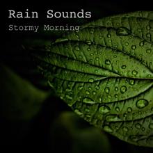 Rain Sounds: Stormy Morning