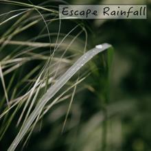 Rain Sounds: Escape Rainfall