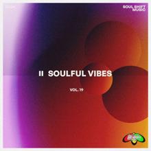 Various Artists: Soulful Vibes Vol. 19