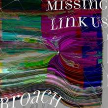 Missing Link Us: Twenty Richards