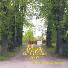 Various Artists: Musik till Gladje 2007