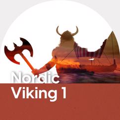 Steingrimur Thorhallsson, Oskari Nurminen: Nordic Viking 1