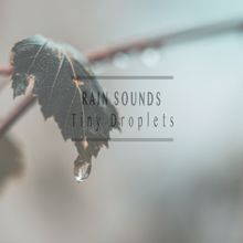 Rain Sounds: Tiny Droplets