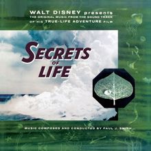 Paul J. Smith: Walt Disney Presents The Original Music from the Sound Track of his True-Life Adventure Film "Secrets of Life"
