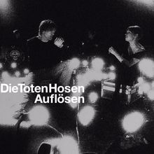 Die Toten Hosen: Auflösen