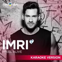 IMRI: I Feel Alive (Karaoke Version)