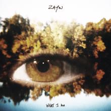 ZAYN: What I Am