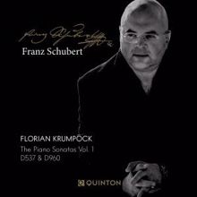 Florian Krumpöck: Sonata in A Minor, D537: I. Allegro ma non troppo