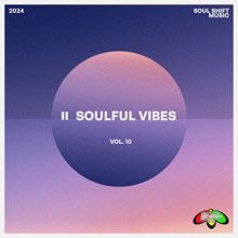 Various Artists: Soulful Vibes Vol. 10