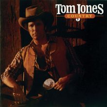 Tom Jones: A Woman's Touch